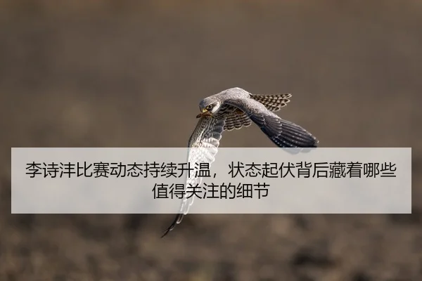 李诗沣比赛动态持续升温，状态起伏背后藏着哪些值得关注的细节