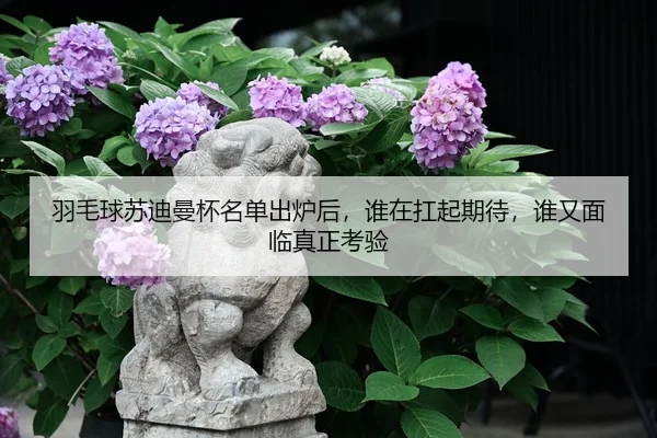 羽毛球苏迪曼杯名单出炉后，谁在扛起期待，谁又面临真正考验